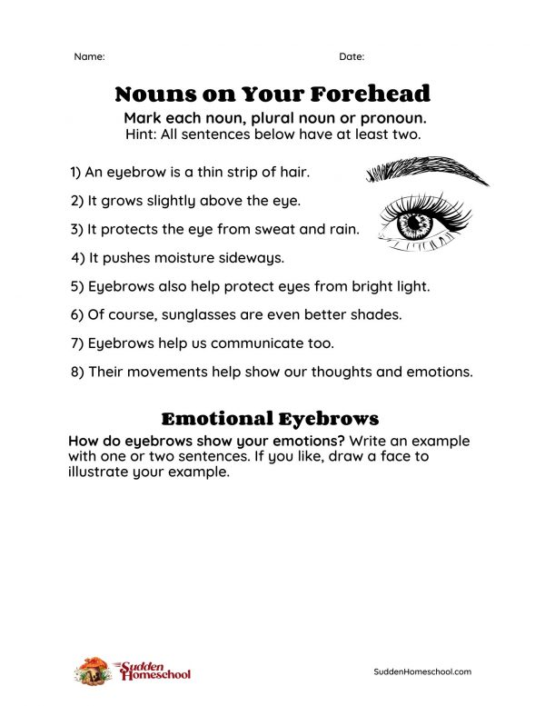 Preview of the worksheet entitled "Nouns on Your Forehead" with an eyebrow illustration