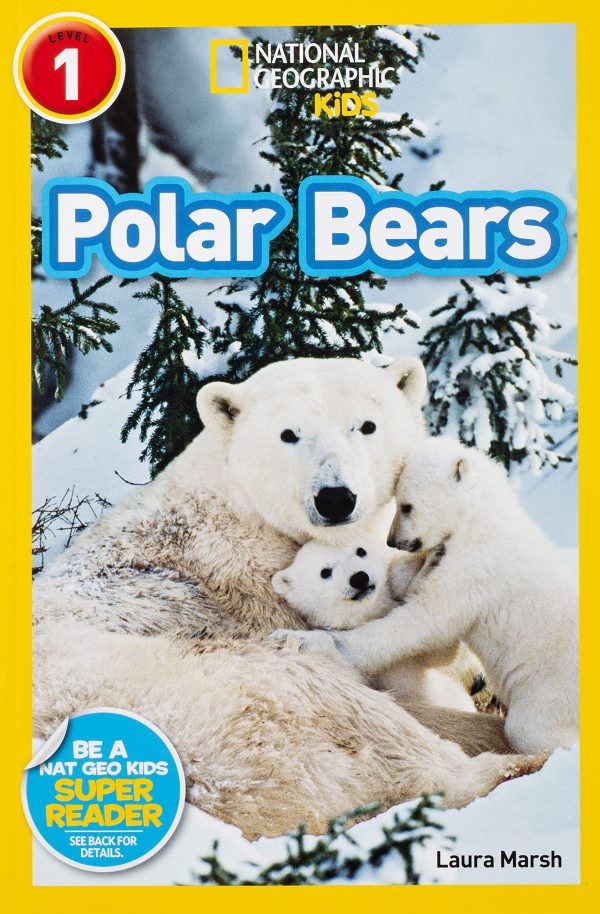 Polar Bears book cover