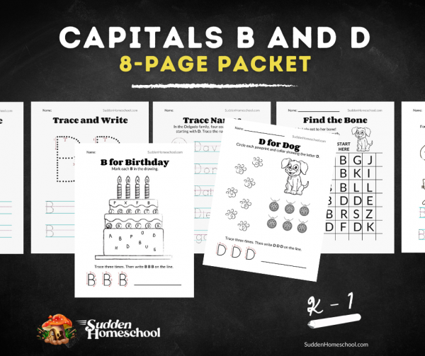 A preview of worksheets about B and D